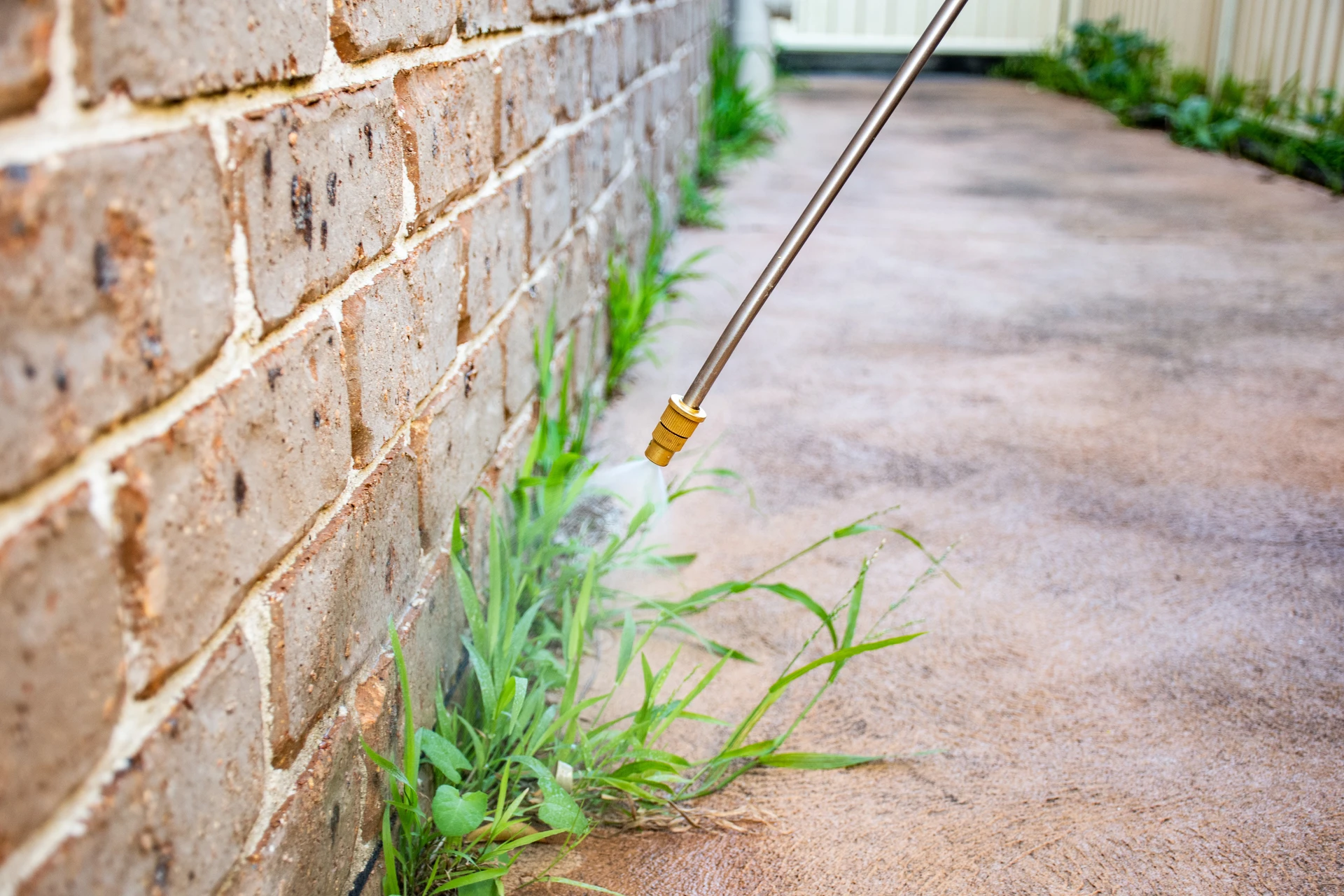 Lawn spraying and pest control service