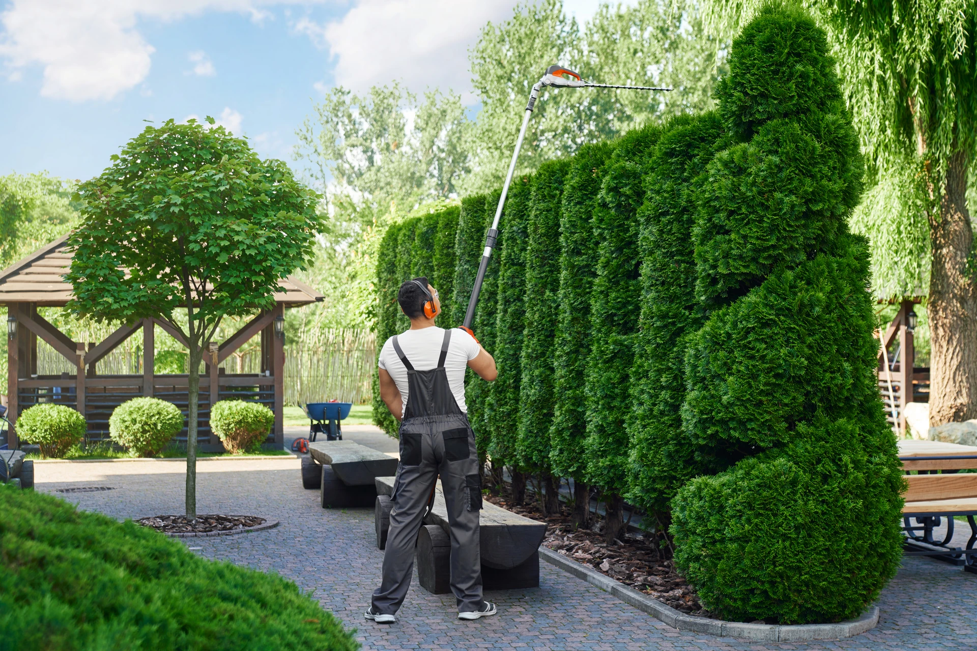 Tree and hedge trimming service