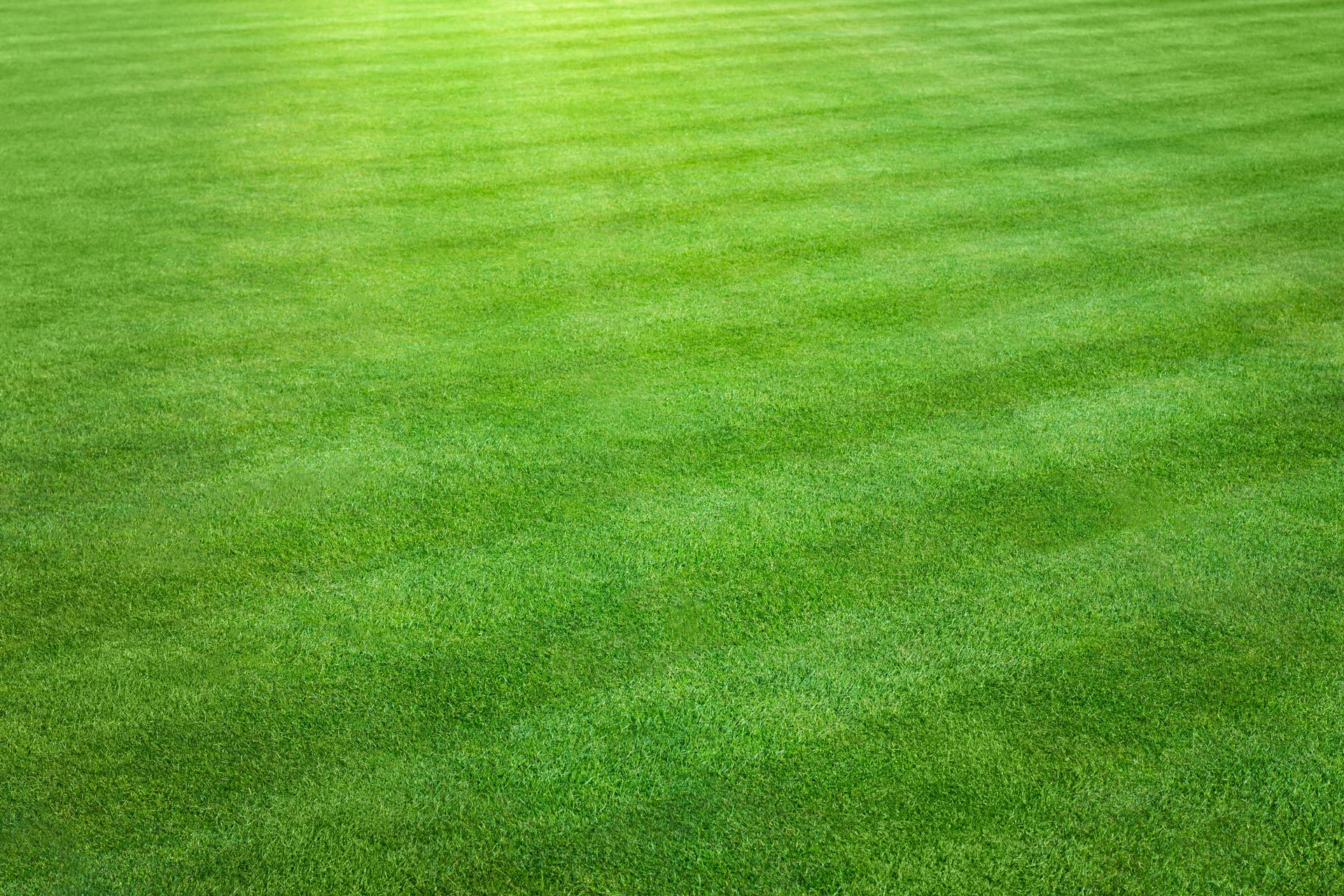 Lawn installation and repair service