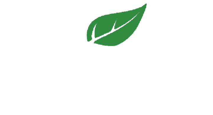 Grow & Mow Lawn Care