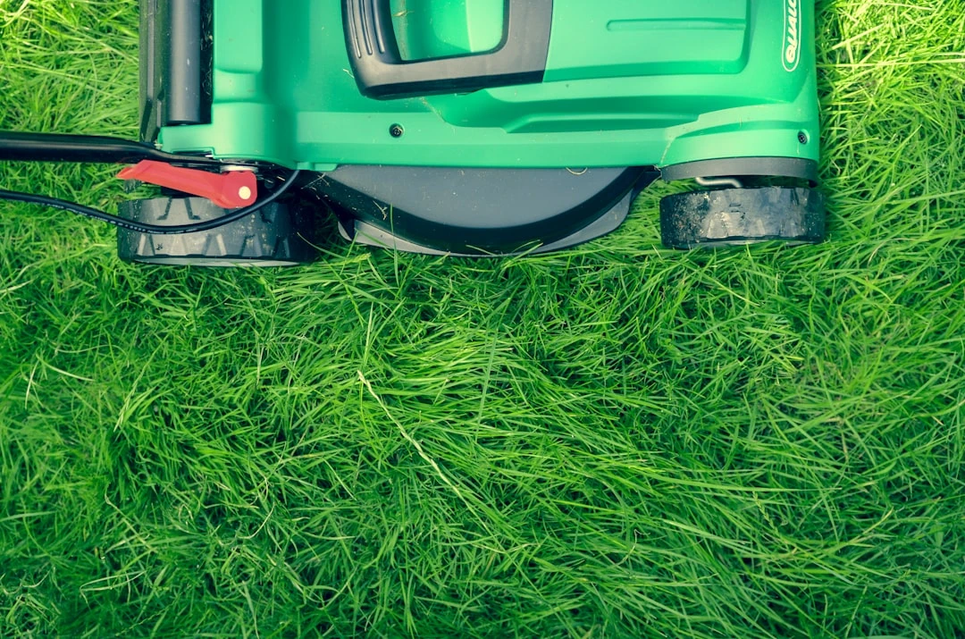 Professional lawn care service