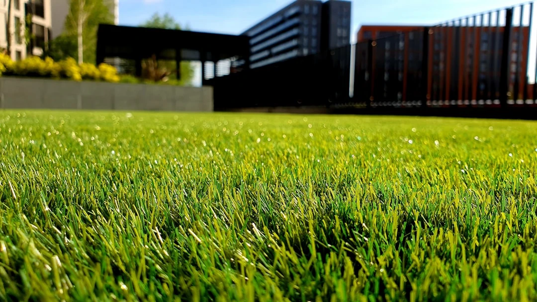 Grow and Mow team working on lawn care